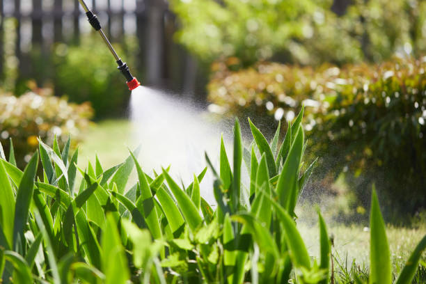 24/7 Emergency Cockroach Control experts in Leitchfield, KY